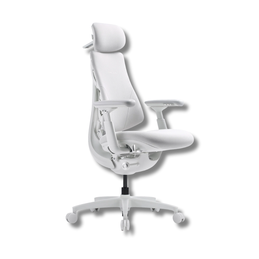 LiberNovo Maxis Dynamic Ergonomic Chair
